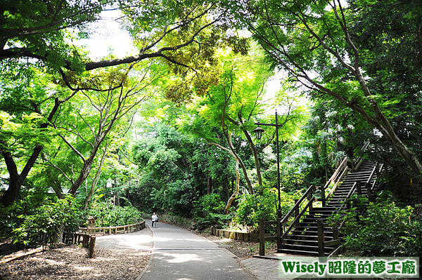 井の頭公園