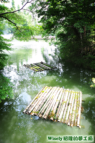 井の頭公園