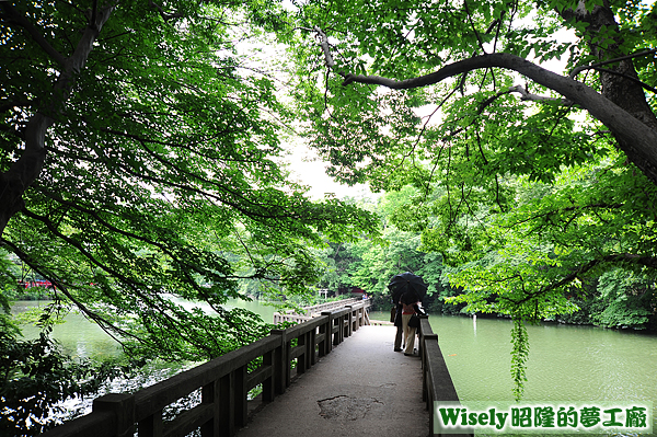 井の頭公園