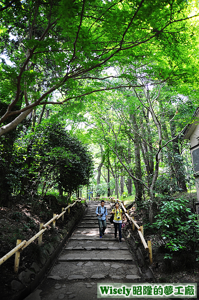 井の頭公園