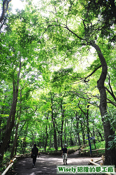 井の頭公園