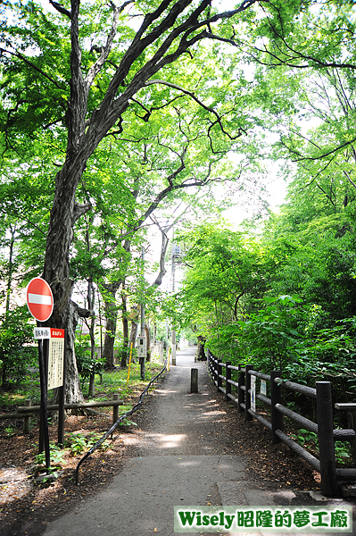 井の頭公園