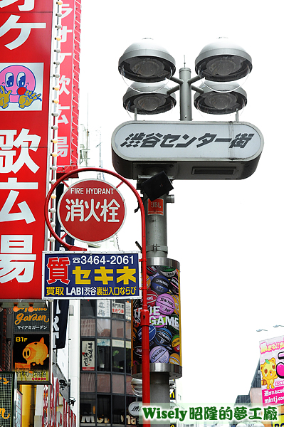 渋谷センター街路牌