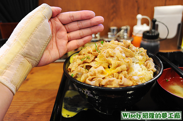 すた丼(肉飯增し)