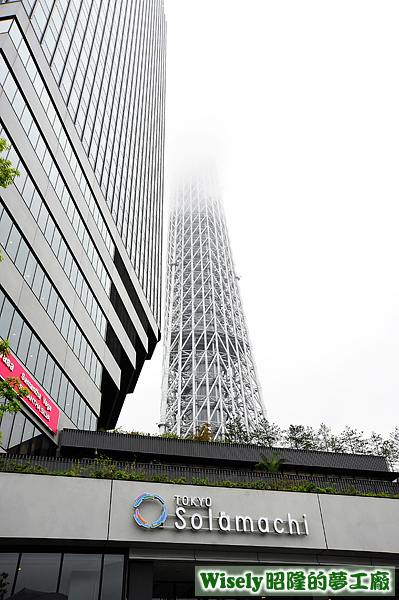 東京晴空塔(天空樹TOKYO SKYTREE)