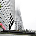 東京晴空塔(天空樹TOKYO SKYTREE)