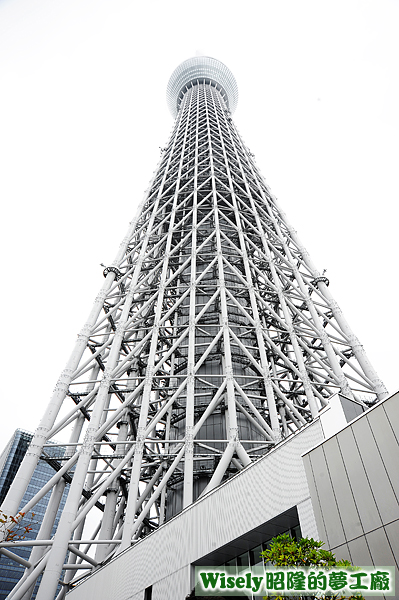 東京晴空塔(天空樹TOKYO SKYTREE)