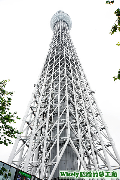 東京晴空塔(天空樹TOKYO SKYTREE) 東京晴空塔(天空樹TOKYO SKYTREE)