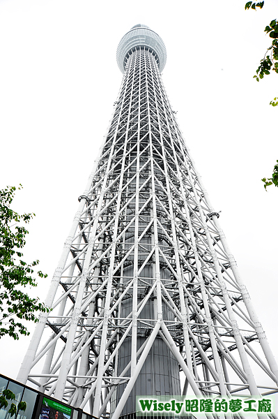 東京晴空塔(天空樹TOKYO SKYTREE)