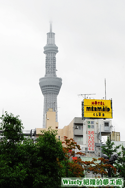 東京晴空塔(天空樹TOKYO SKYTREE)