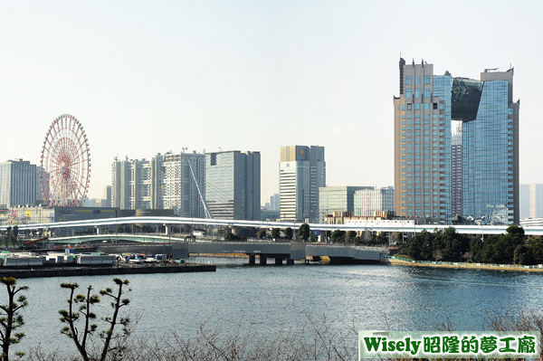 東京お台場 パレットタウン大観覧車(摩天輪)