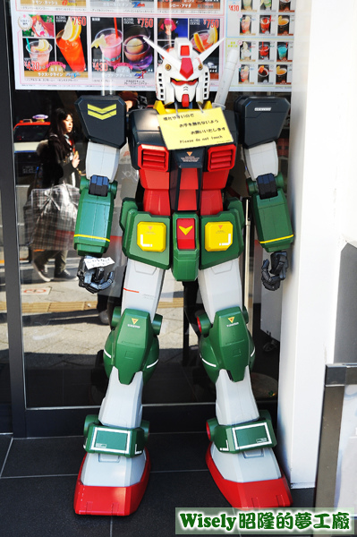 ガンダム(GUNDAM)模型