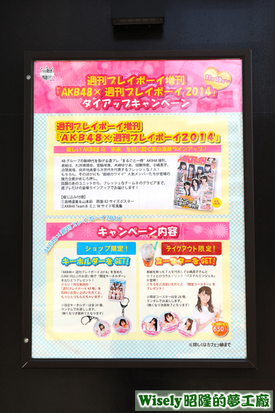 AKB48x週刊プレイボーイ2014海報