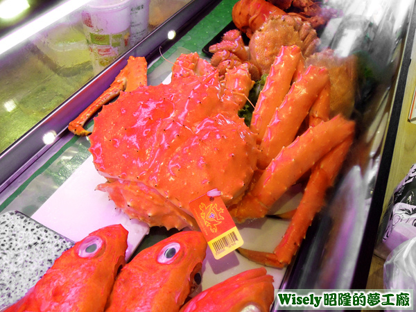 帝王蟹 帝王蟹