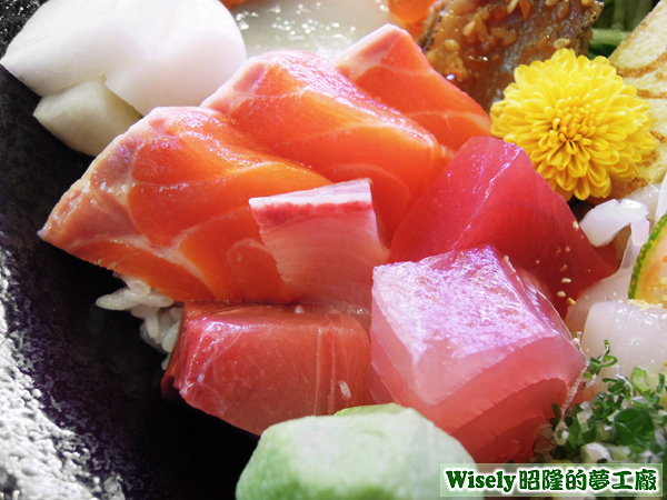各種生魚片 各種生魚片