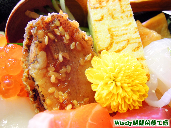 鮑魚 鮑魚