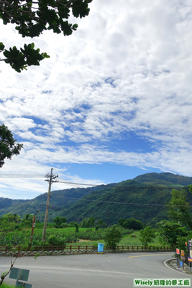 屏東三十六縣道(延平鄉公所)