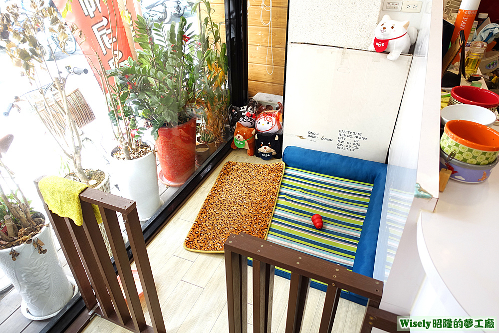 店狗休息區 店狗休息區
