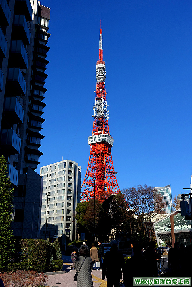 東京鐵塔(TOKYO TOWER)