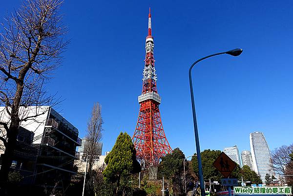 東京鐵塔(TOKYO TOWER)