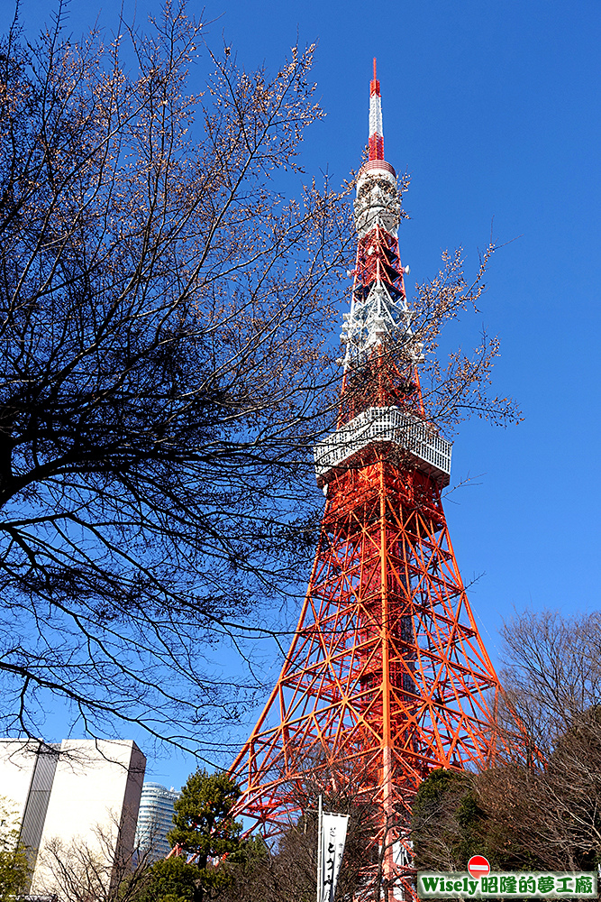 東京鐵塔(TOKYO TOWER)