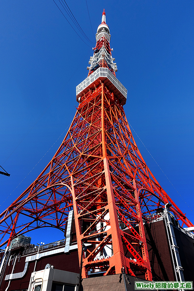 東京鐵塔(TOKYO TOWER)