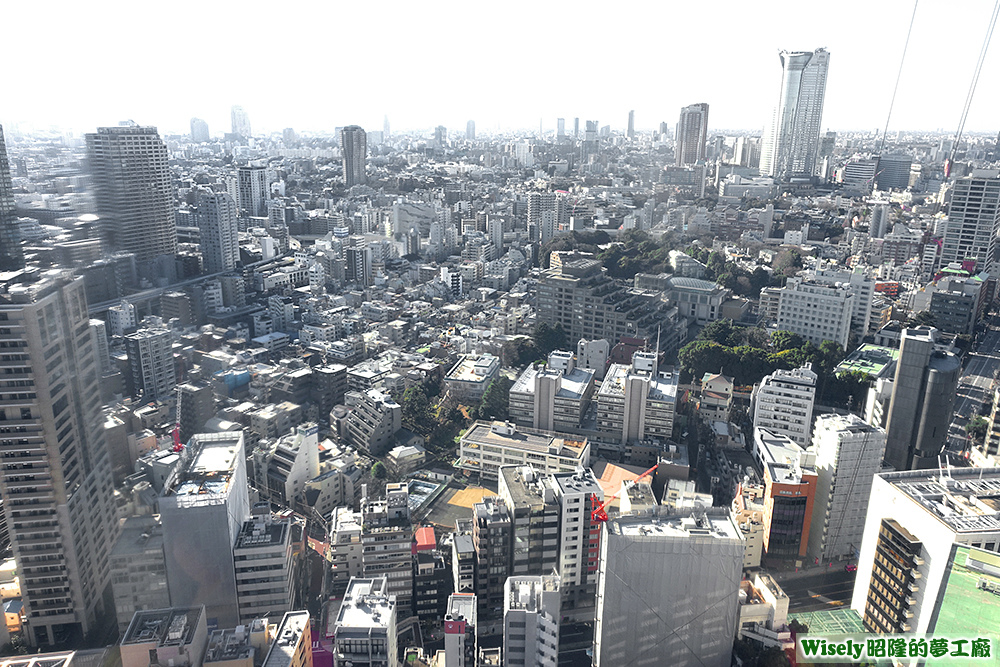 東京鐵塔(TOKYO TOWER)大展望台視野