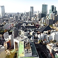 東京鐵塔(TOKYO TOWER)大展望台視野