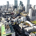 東京鐵塔(TOKYO TOWER)大展望台視野