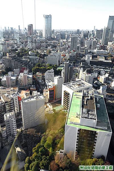 東京鐵塔(TOKYO TOWER)大展望台視野