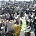 東京鐵塔(TOKYO TOWER)大展望台視野