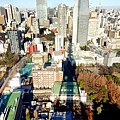 東京鐵塔(TOKYO TOWER)大展望台視野