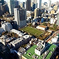 東京鐵塔(TOKYO TOWER)大展望台視野