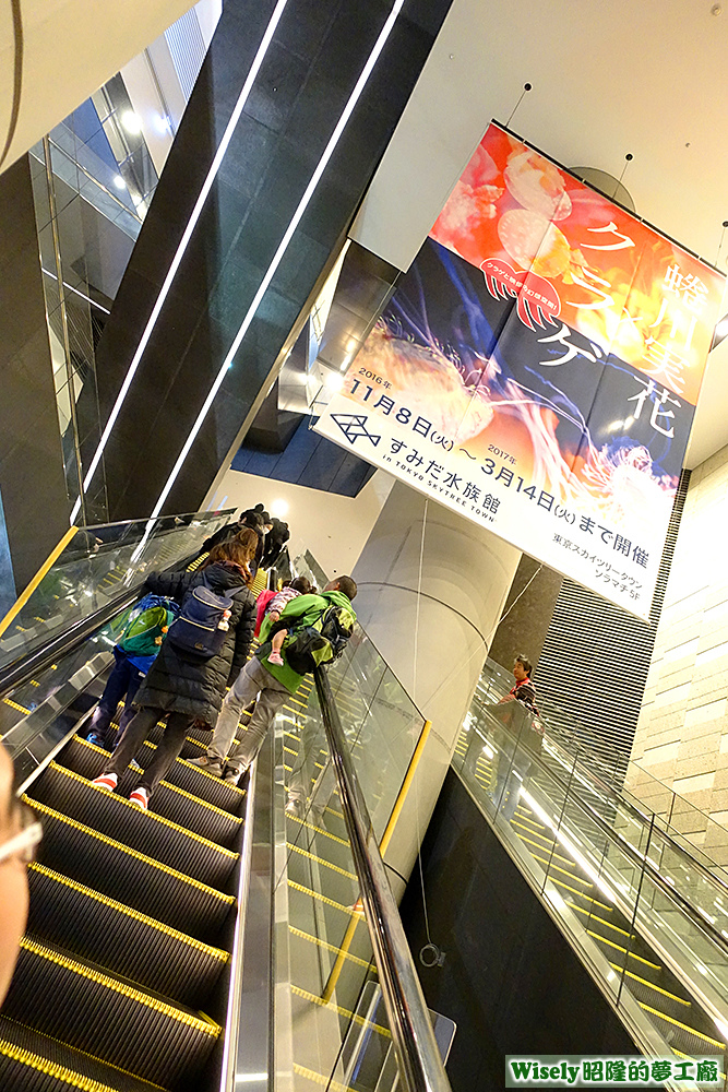 東京スカイツリー建築內部