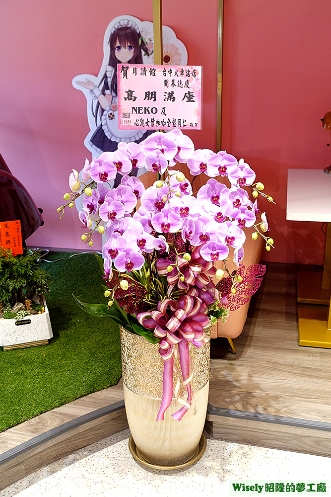 Neko及心跳女僕咖啡館贈送的蝴蝶蘭盆栽 Neko及心跳女僕咖啡館贈送的蝴蝶蘭盆栽