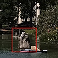主要拍攝處