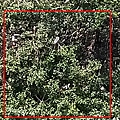 主要拍攝處