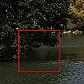 主要拍攝處