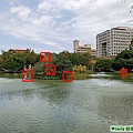 主要拍攝處