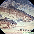 兩千元鈔票(背面)