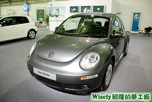 福斯Volkswagen New Beetle
