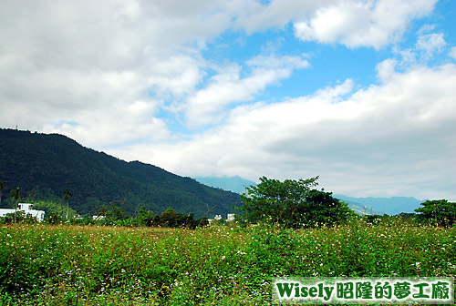 竹緹小舍後方景觀