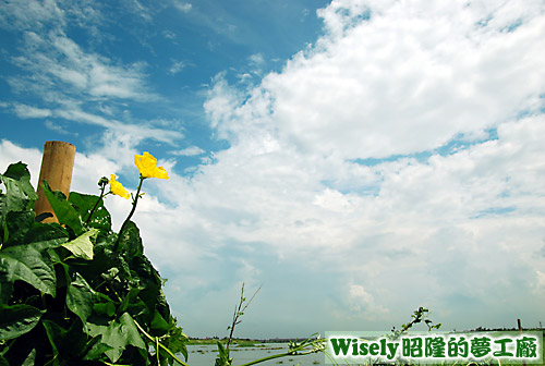 東港溪東港堤防