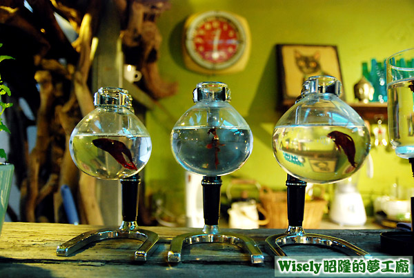 養魚的咖啡燒杯 養魚的咖啡燒杯