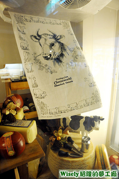 櫥窗展示 櫥窗展示