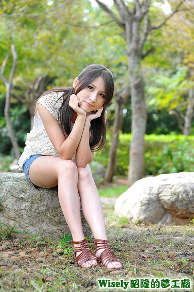 小羊 小羊