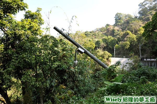 傾斜的路燈 傾斜的路燈
