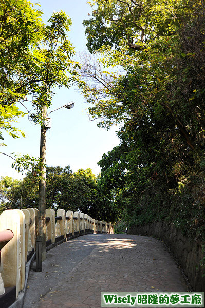 七號步道 七號步道