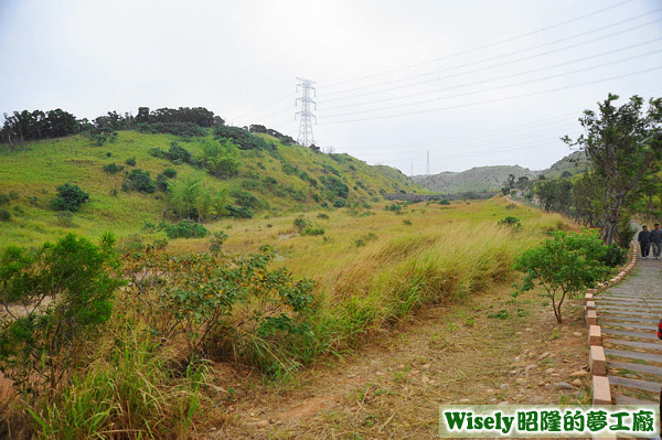 沿途景色