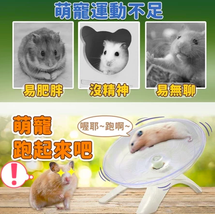 倉鼠運動嘉年華4.2